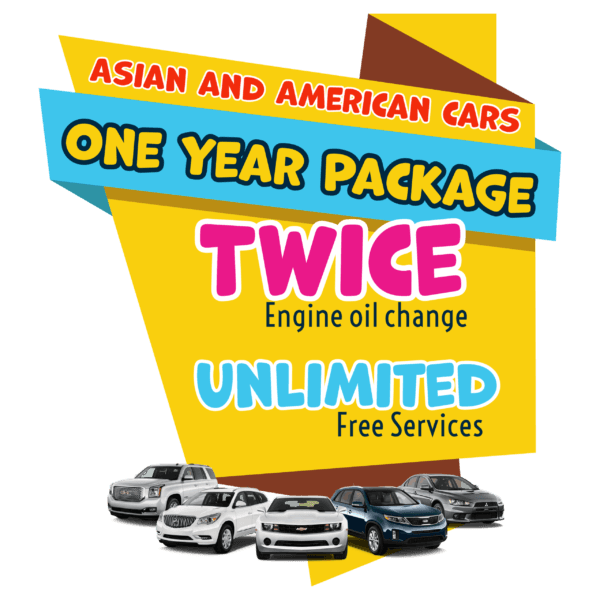 One Year Services Package Subscription - Asian & American Cars