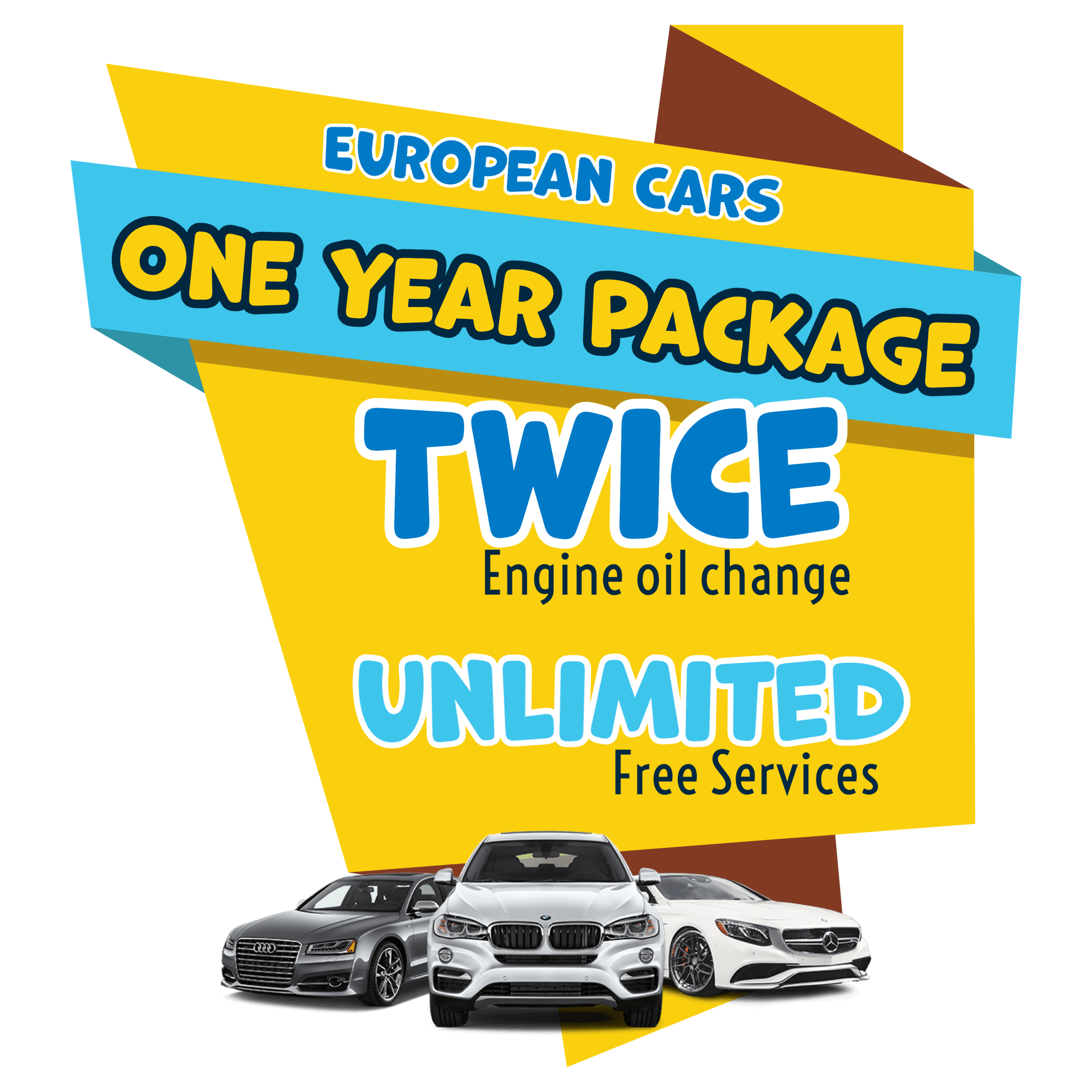 One Year Services Package Subscription - European Cars